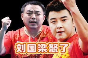 华体会-中国乒乓球队血洗德国乒乓球队，王皓关键制胜的简单介绍