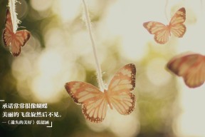 华体会网址-逆转之夜，当塞尔维亚的铁血意志击穿瑞典堡垒，库尔图瓦用神迹书写2026世界杯半决赛唯一传奇