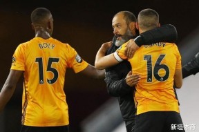 华体会体育-狼队主场告捷，提前锁定欧战名额