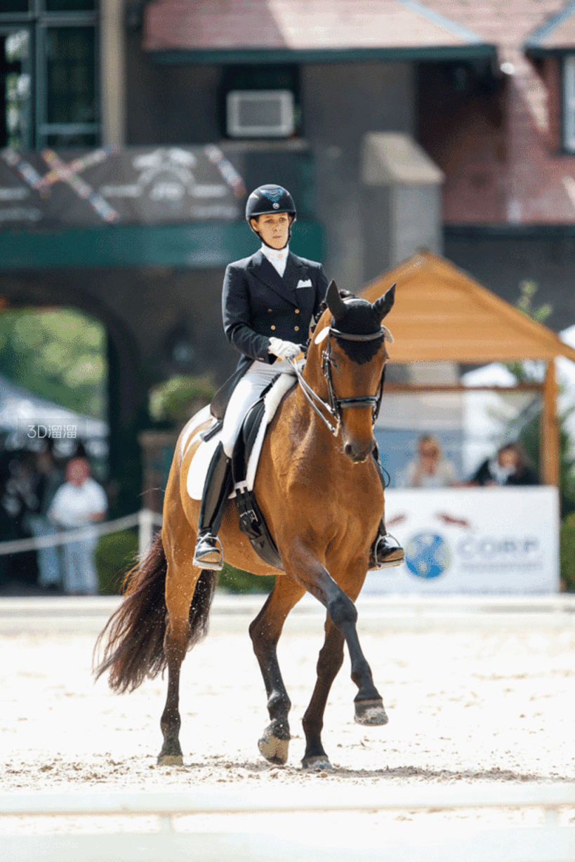 华体会下载-包含美洲马术比赛激战拉开帷幕，阿根廷骑手夺得冠军殊荣的词条  第1张